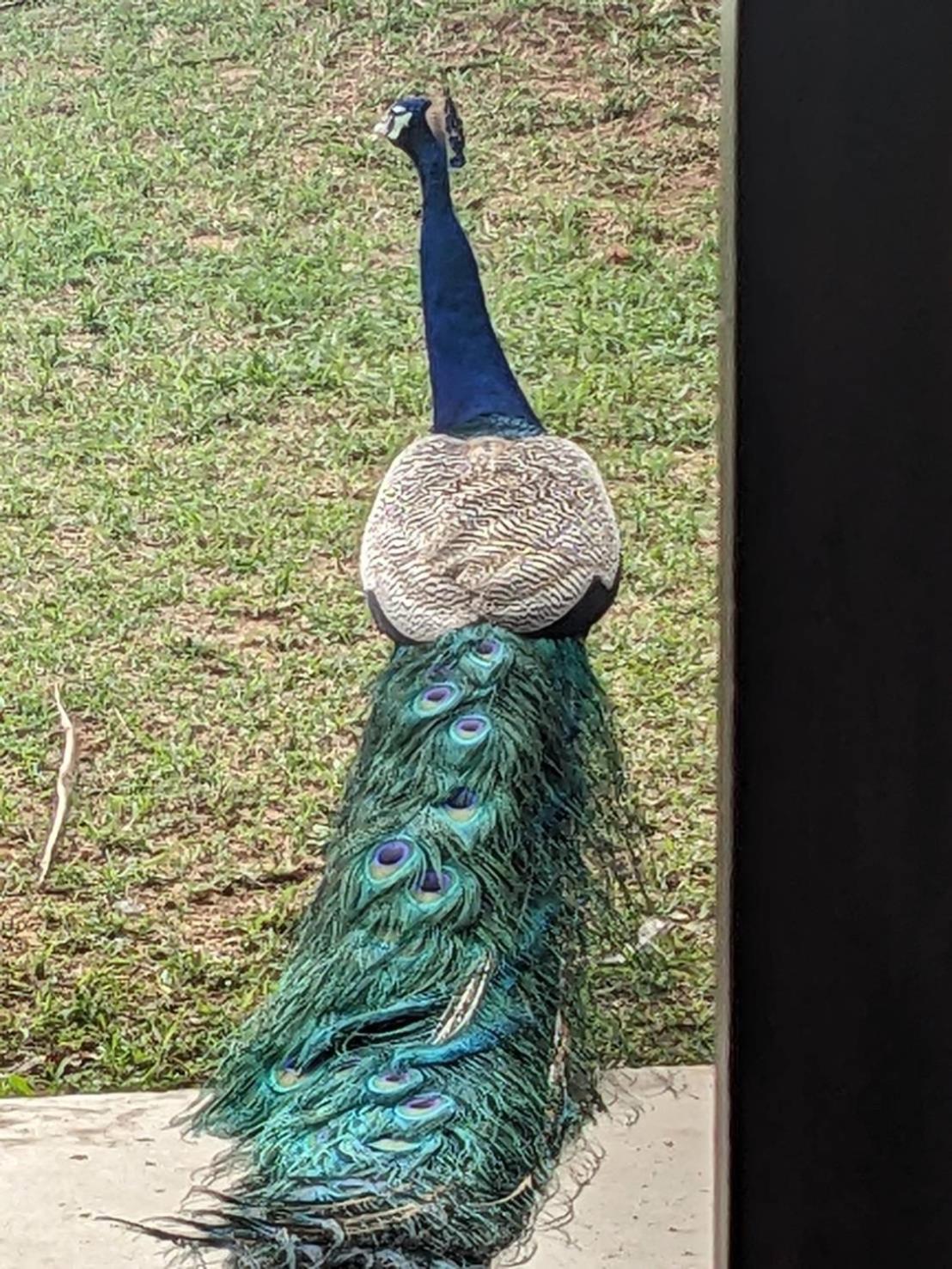 مبيت وإفطار Pemuyan Mirissa70 المظهر الخارجي الصورة